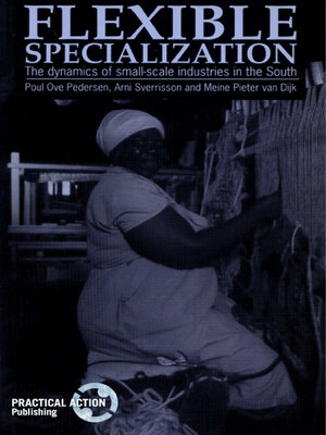 cover image of Flexible Specialization